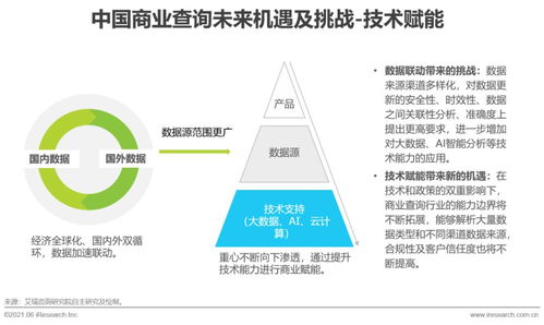 2021年中国商业查询发展研究报告